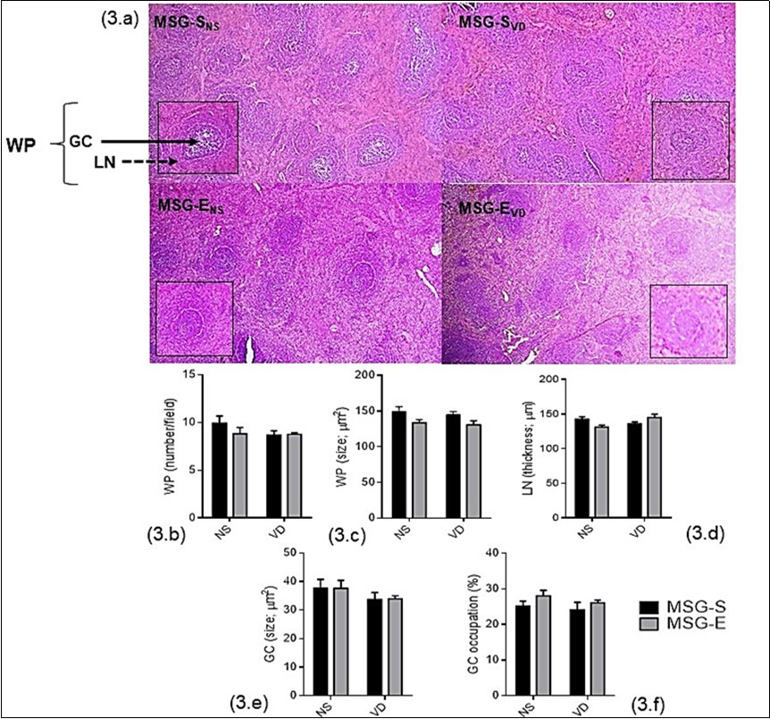 Journal of Spleen and Liver Research -Swimming