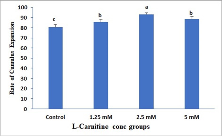 Effect of in vitro maturation media supplementation with l carnitine on the Cumulus expansion rate. Values with different superscript letters are significantly different (P<0.05).