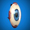 Journal of Ophthalmic Science - Conjunctival Resection